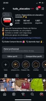 161 mil seguidores 100% crescimento orgânico ✅