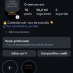 Conta Instagram com 59 mil seguidores reais e ativos