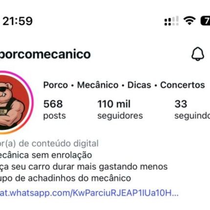 INSTAGRAM COM 100K SEGUIDORES E 60 MILHÕES DE ALCANCE PRONTO PARA ESCALAR