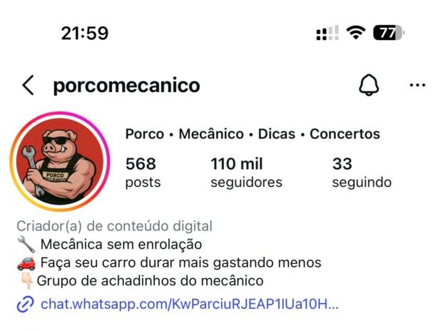 cropped-IMG_1651.jpeg INSTAGRAM COM 100K SEGUIDORES E 60 MILHÕES DE ALCANCE PRONTO PARA ESCALAR - Imagem 1