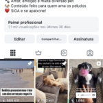 INSTA ORGÂNICO DE 127k