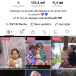 Conta nichada no segmento familia/maternidade, com 121 mil seguidores reais e alto potencial de monetização.