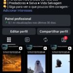 Página com bom engajamento, seguidores 100% orgânicos