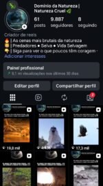 Página com bom engajamento, seguidores 100% orgânicos