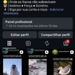 Página com bom engajamento, seguidores 100% orgânicos