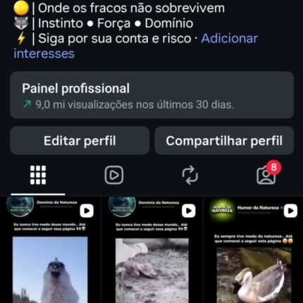 Página com bom engajamento, seguidores 100% orgânicos