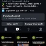 Página com 22.4k de seguidores 100% orgânicos 96,5%br