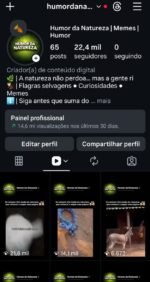 Página com 22.4k de seguidores 100% orgânicos 96,5%br