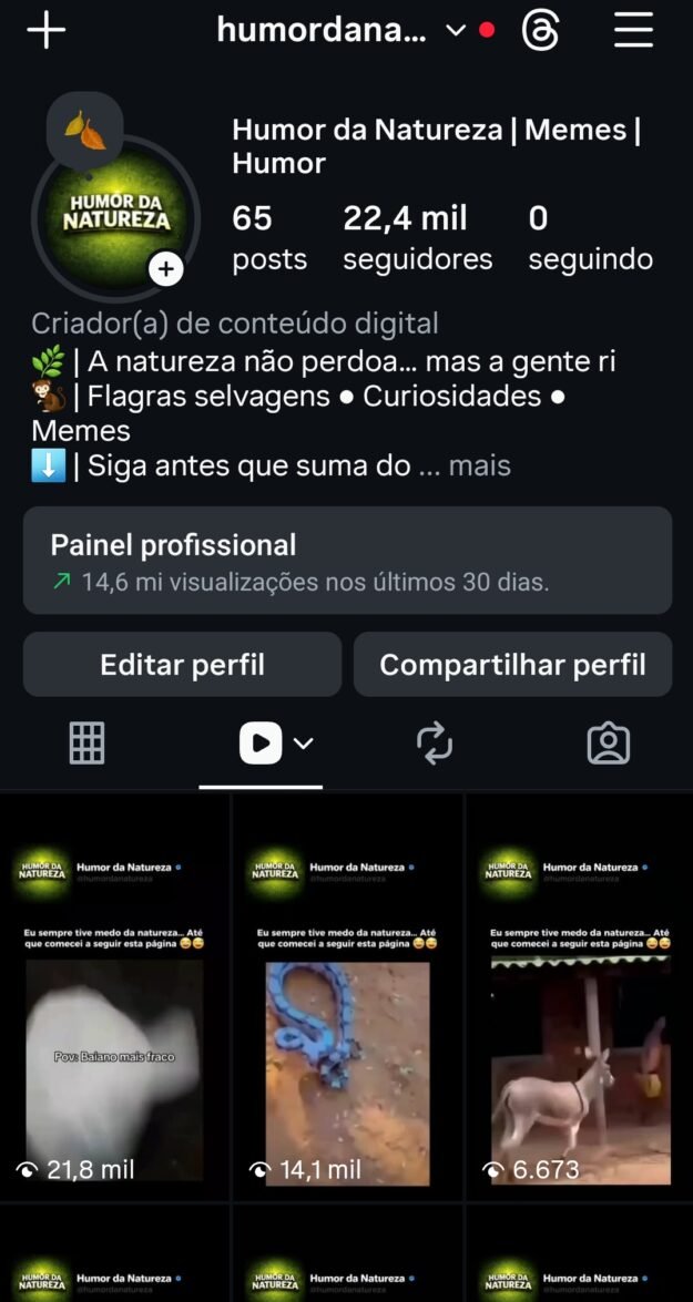 cropped-Screenshot_20260301_183217_Instagram.jpg Página com 22.4k de seguidores 100% orgânicos 96,5%br - Imagem 1