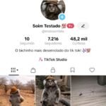 VIRALIZANDO!!! TIK TOK BR 7K + SHOP ATIVO E SEM DOCUMENTOS!