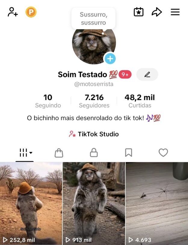 cropped-Screenshot_20260303_002601_TikTok.jpg VIRALIZANDO!!! TIK TOK BR 7K + SHOP ATIVO E SEM DOCUMENTOS! - Imagem 1