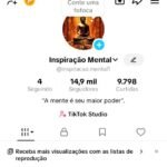 Conta do tiktok monetizada, 14,9 mil seguidores, sem restrições.