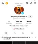 Conta do tiktok monetizada, 14,9 mil seguidores, sem restrições.