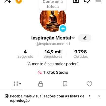 Conta do tiktok monetizada, 14,9 mil seguidores, sem restrições.