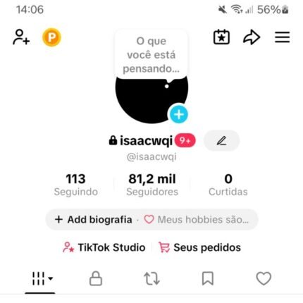 TIKTOK 80K SEGUIDORES REAIS