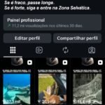 Página com 15.7k de seguidores 100% orgânicos