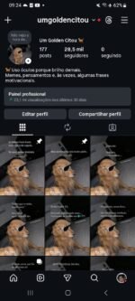 Conta Instagram impecável, 28k seguidores orgânicos engajados