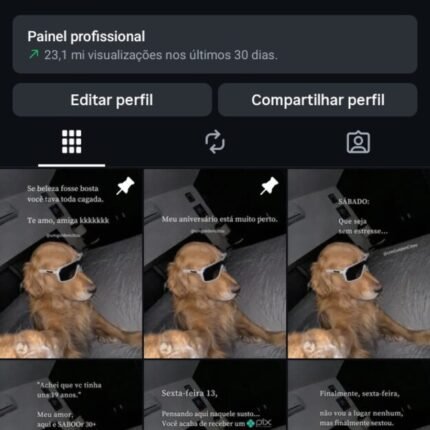 Conta Instagram impecável, 28k seguidores orgânicos engajados