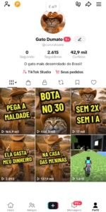 ⏰Só HOJE! TikTok BR 2.6K Seguidores + Shop Ativo e sem Documento!