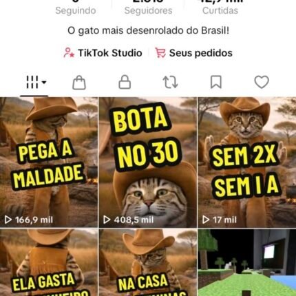 ⏰Só HOJE! TikTok BR 2.6K Seguidores + Shop Ativo e sem Documento!