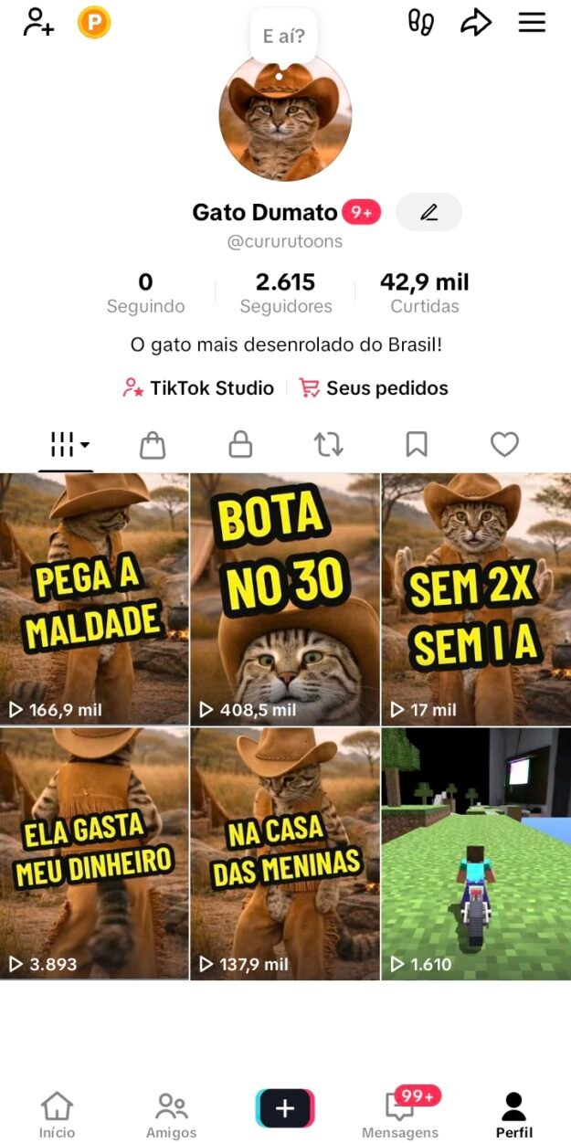cropped-Screenshot_20260315_195739_TikTok.jpg ⏰Só HOJE! TikTok BR 2.6K Seguidores + Shop Ativo e sem Documento! - Imagem 1