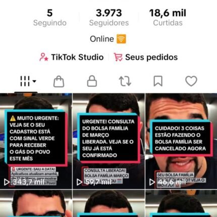 Conta do tíktok 3990 seguidores