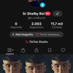 CONTA TIKTOK SHOP - SEM DOC. 2 MIL SEGUIDORES - SEM NENHUMA RESTRIÇÃO