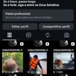 Conta com 18K de seguidores 100% autênticos e orgânicos