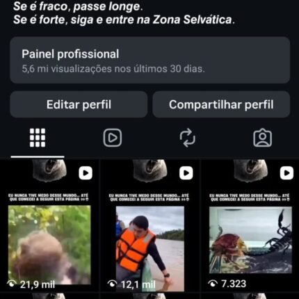 Conta com 18K de seguidores 100% autênticos e orgânicos