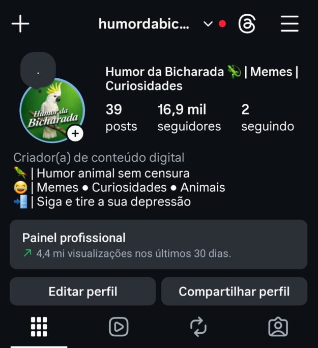 cropped-Screenshot_20260329_195657_Instagram.jpg Conta com quase 17K de seguidores 100% autênticos e orgânicos - Imagem 1