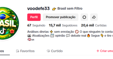PERFIL DO TIKTOK