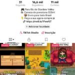 TIK TOK COM 16MIL SEGUIDORES MONETIZADO SEM TIKTOK SHOP - PREÇO DE REVENDA BARATO DEMAIS
