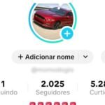 Conta TikTok Shop Ativa | Você escolhe o nicho!