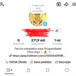 conta TikTok 272mil seguidores Monetizado