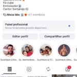 Pagina do Instagram publico Maioria do Sertanejo