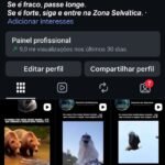 Página com bom engajamento no reels, seguidores 100% orgânicos