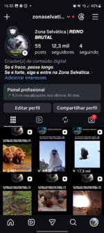 Página com bom engajamento no reels, seguidores 100% orgânicos