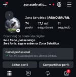 Conta com +17.1k de seguidores 100% autênticos e 80% br