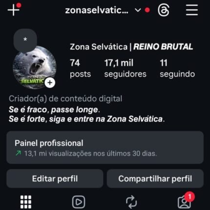 Conta com +17.1k de seguidores 100% autênticos e 80% br