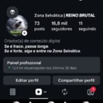 Página com 16.8k de seguidores 100% orgânicos