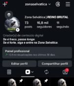 Página com 16.8k de seguidores 100% orgânicos