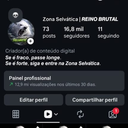 Página com 16.8k de seguidores 100% orgânicos