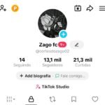 CONTA DO TIKTOK MONETIZADA +13,1K SEGUIDORES CURTIDAS (ENGAJAMENTO REAL)