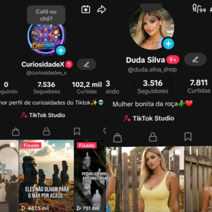 OFERTA IMPERDÍVEL!! COMBO 2 CONTAS COM TIKTIK SHOP ATIVO UMA COM +7K E OUTRA COM + DE 3K DE SEGUIDORES. PRONTA PRA VENDER. OFERTA LIMITADA!! (leia a descrição) 🔥