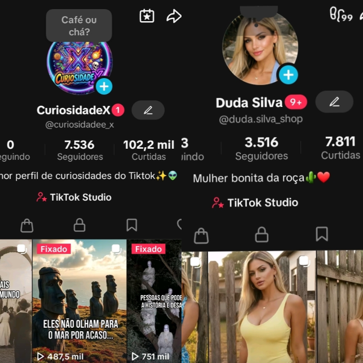 OFERTA IMPERDÍVEL!! COMBO 2 CONTAS COM TIKTIK SHOP ATIVO UMA COM +7K E OUTRA COM + DE 3K DE SEGUIDORES. PRONTA PRA VENDER. OFERTA LIMITADA!! (leia a descrição) 🔥 - Imagem 1