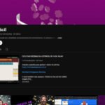 Canal Loto Facil com 42K inscritos ativos e audiência aquecida