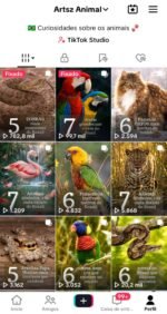 Conta Tiktok 9K seguidores com +100 mil views semanais - Imagem 2