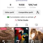 CONTA TIKTOK | 9.1K+ SEG👥 | 125.9K CURT❤️ | CURIOSIDADES SOB ANIMAIS 🐾|+100K VIEWS SEMANAIS | ENGAJAMENTO📢