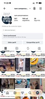 🚨 PÁGINA À VENDA - 109MIL SEGUIDORES REAIS +5MI DE VIEWS/MÊS - Imagem 2