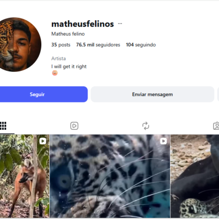 Instagram 76k conta batendo 29k no stories